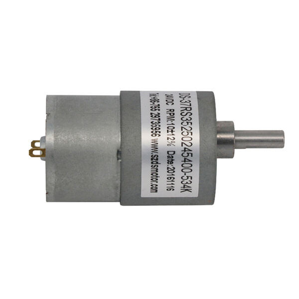 Optimize Your Energy Consumption with High-Efficiency DC Motor 200RPM