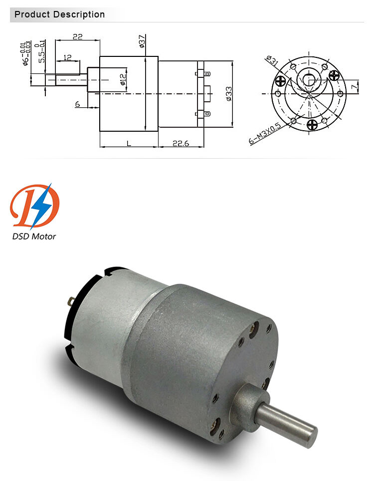 DSD 37mm DC Gear Motor 520 528 555 12V 24V High Quality High Torque Spur Geared DC Motor manufacture