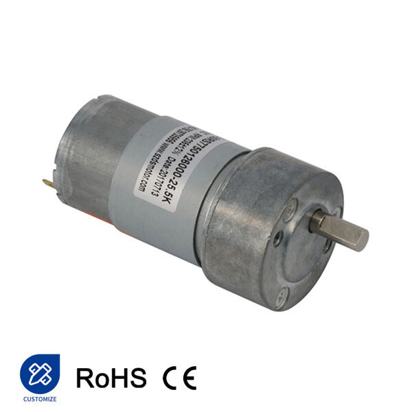 Service of Brushed Electrical Motor