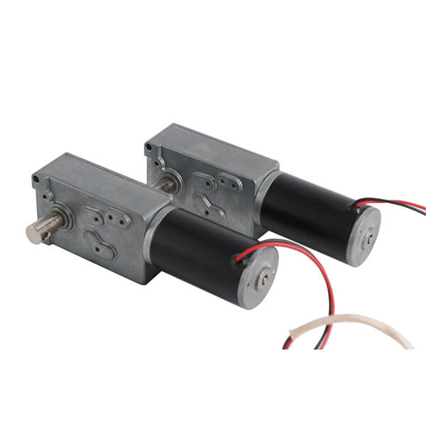 12v DC Worm Gear Drive for Industrial and Automotive Use