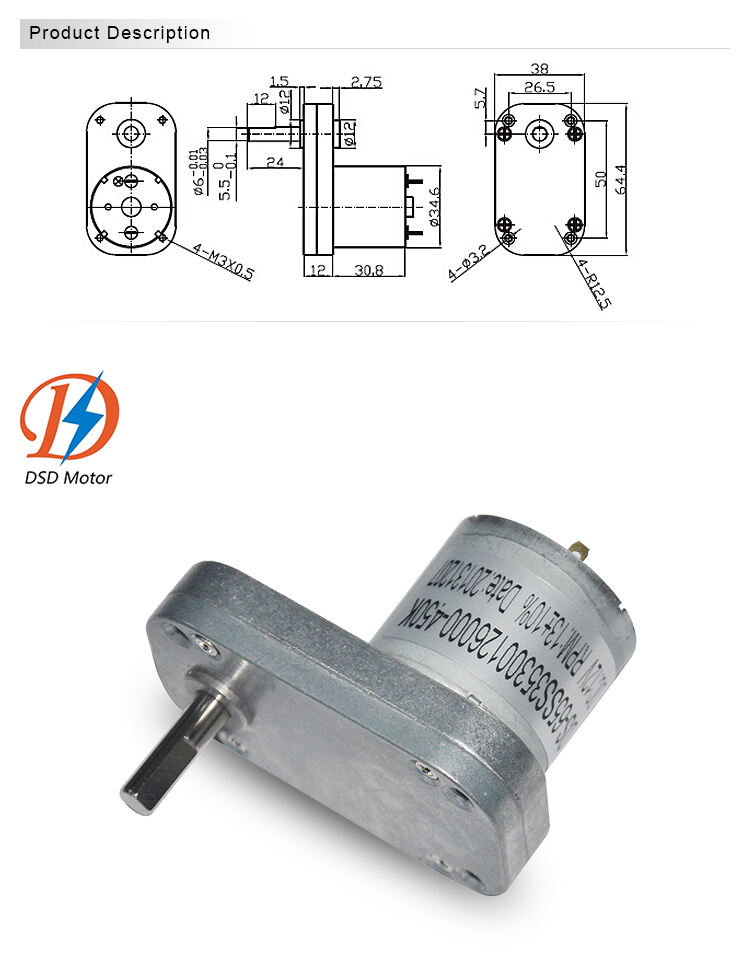 DSD-65SS3530  65mm 3530 3525 6V 12V 24V 6PRM 10RPM DC Gear Motor For Water Valve factory