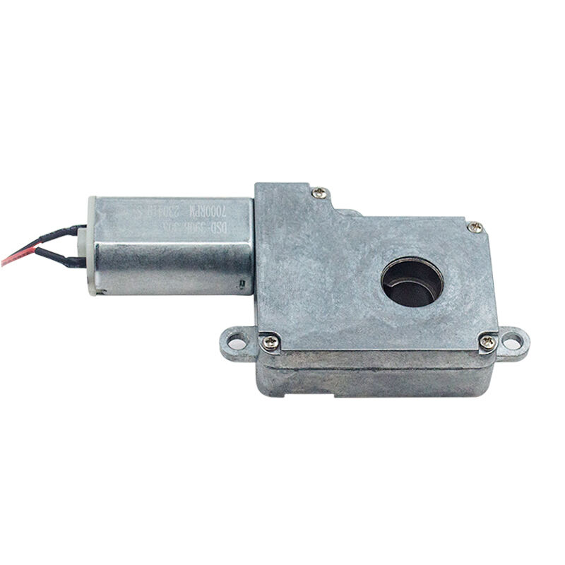 Custom Micro Reducer Motor 6v 12v 24v 50rpm 100rpm 200 rpm DC Worm Gear Motor CE ROHS details