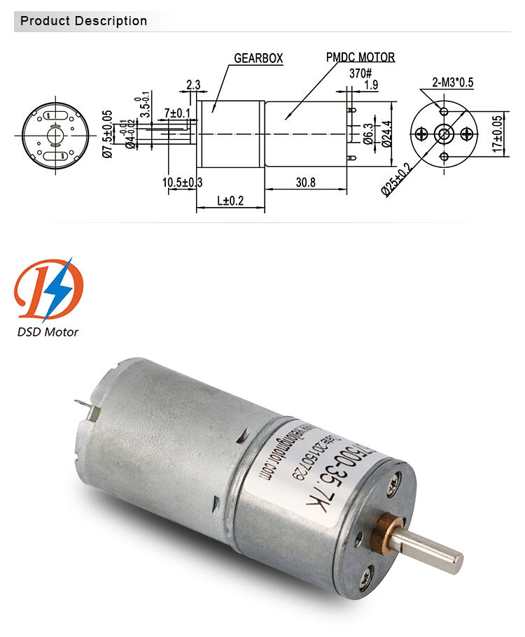 25mm Permanent Magnet Gearbox 370 0.4~4Kgf.cm  High Quality 12V 18V 24V Small DC Gear Motor factory