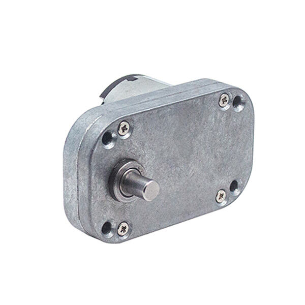 Applications of Brushless DC Motors in Industry and Everyday Life