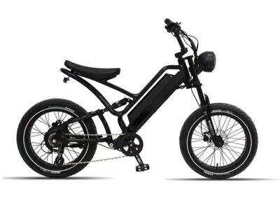 What Defines High-Performance Electric Motor Bikes in Urban Mobility