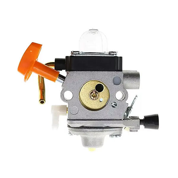 هدف للتدخلات العلاجية المحتملة للاضطرابات المتعلقة بالمناعة