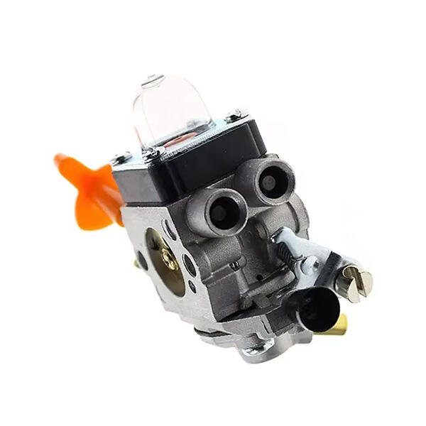 تواصل الأبحاث استكشاف الوظائف المتعددة لـ c1q-s174