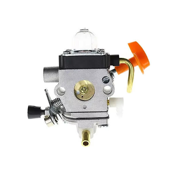 تأثيره على الأمراض المناعية والمزمنة