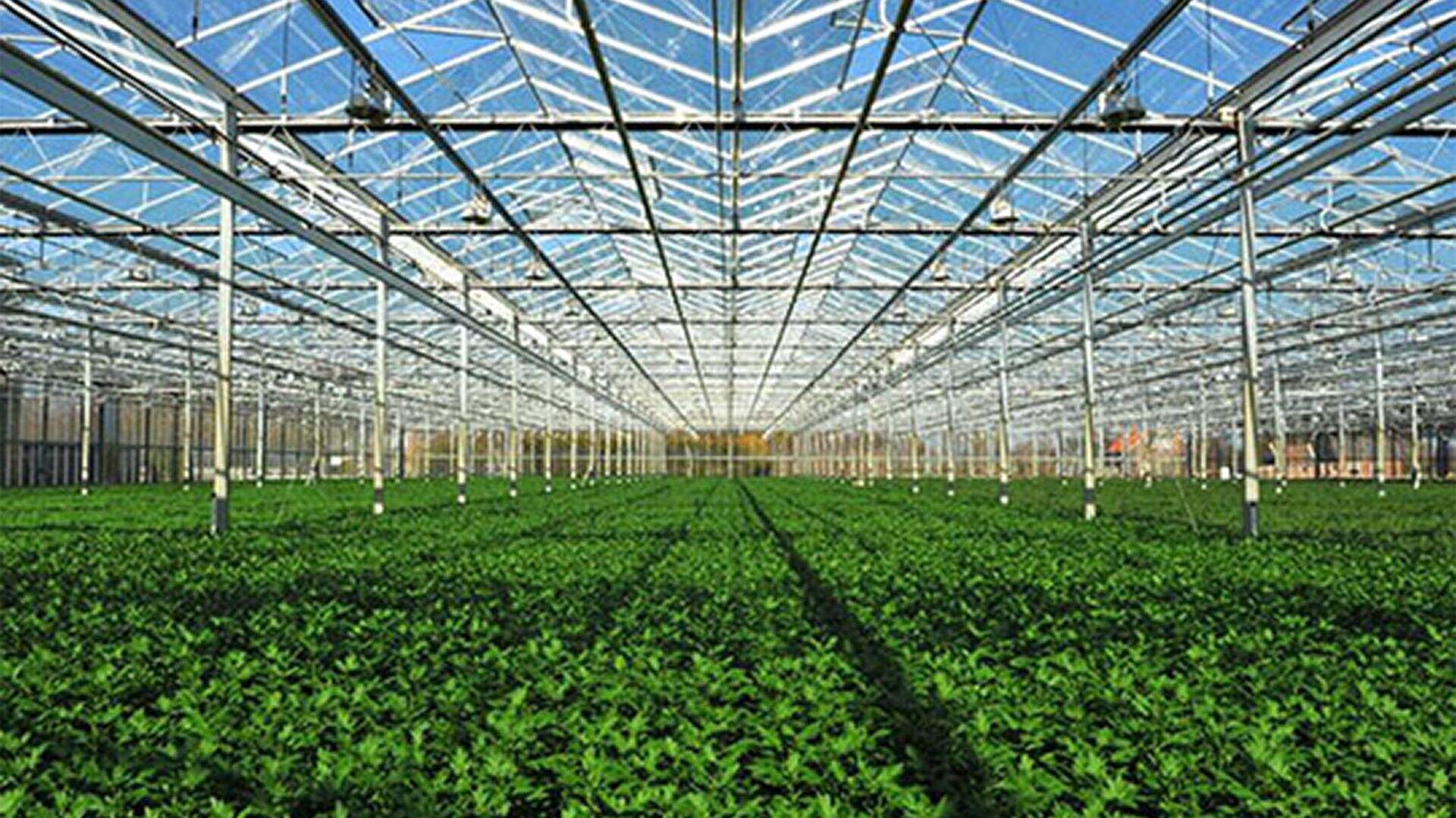 Greenhouses with Wire Rope