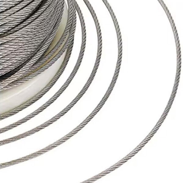 Security of just one 1 16 Stainless Steel Cable: