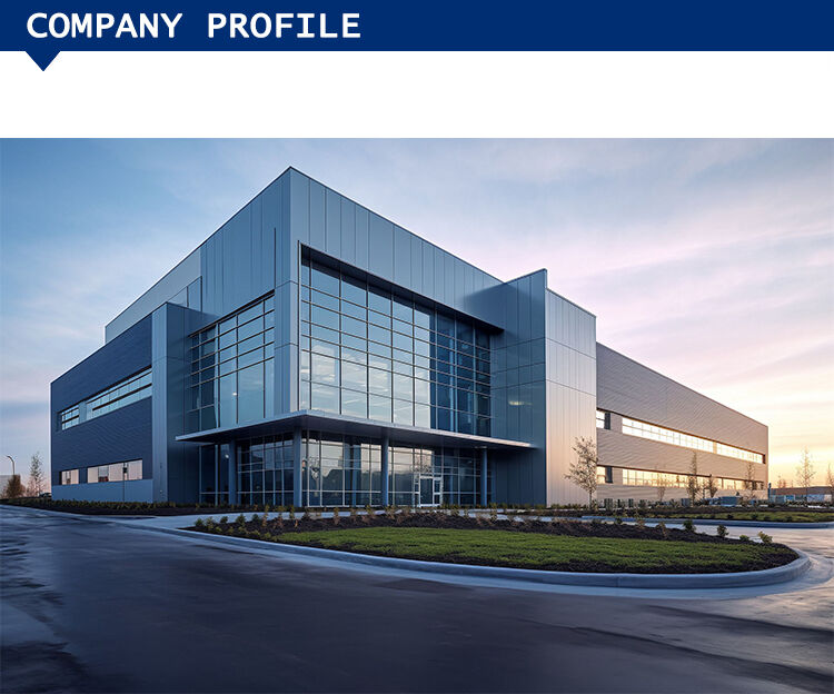 ZB Herbal Nasal Spray Rhinitis Sinusitis Nose Spray for Stuffy Runny Nose Sneezing Health Care 10ml manufacture