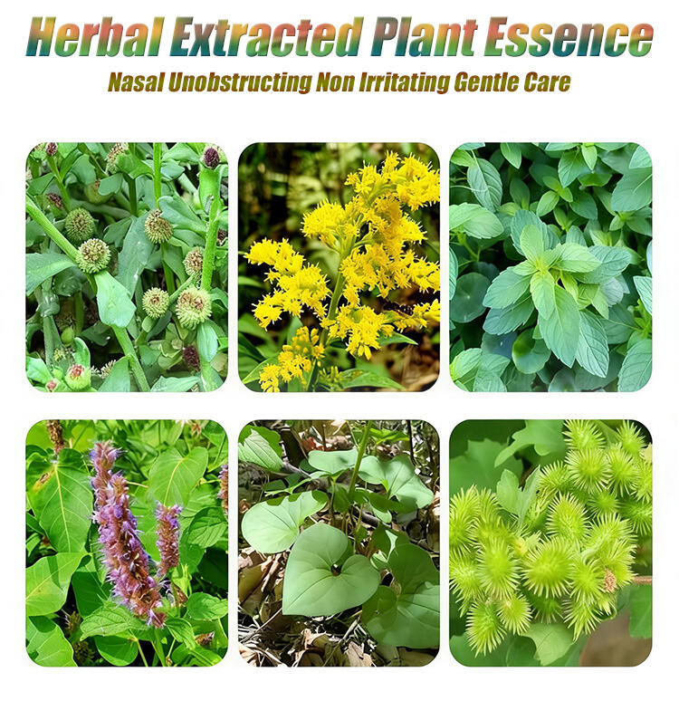 ZB Herbal Nasal Spray Rhinitis Sinusitis Nose Spray for Stuffy Runny Nose Sneezing Health Care 10ml details