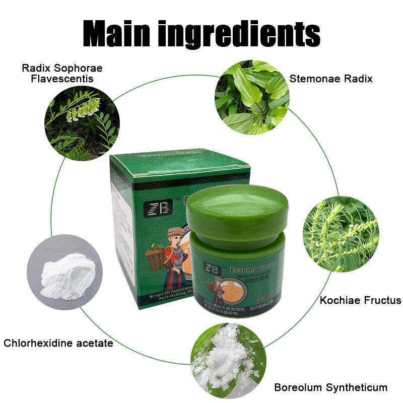 20g ZB Eczema Cream for Psoriasis Eczema Dermatitis Skin Bacteriostatic Cream Skin Care Herbal Ointment supplier