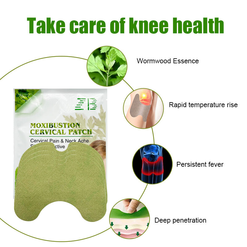 ZB Knee Pain Patch Wormwood Extract Knee Joint Back Muscle Ache Joints Pain Arthritis Stickers 12pcs/bag factory