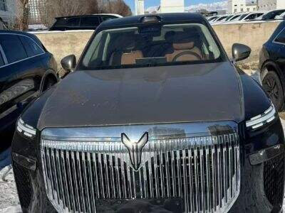 Extended-Range Vehicle Applications in Chinese Markets