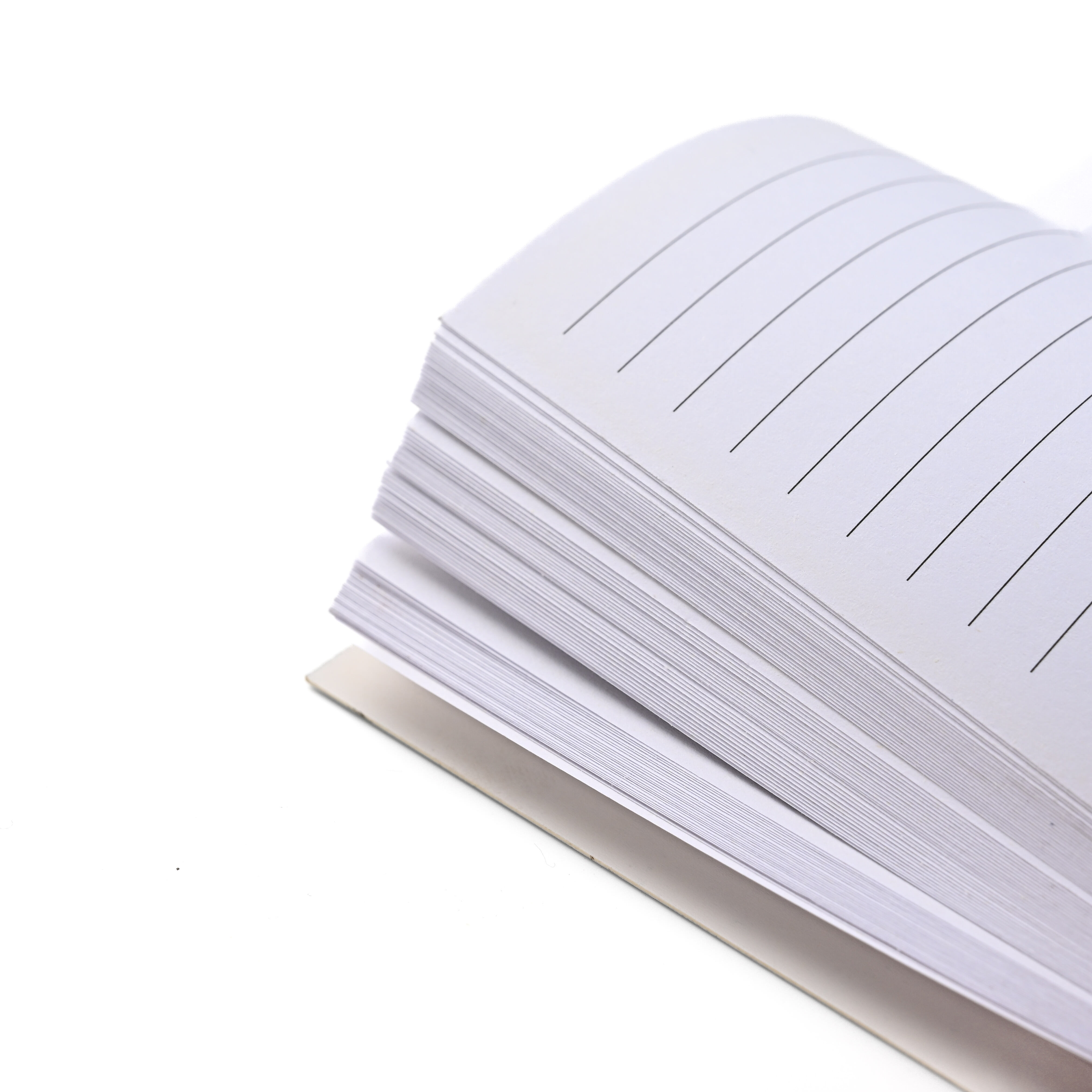 product high value a5 a3 cartoon coil book spiral notebook cute creative loose leaf horizontal line diary student school wholesale paper-12