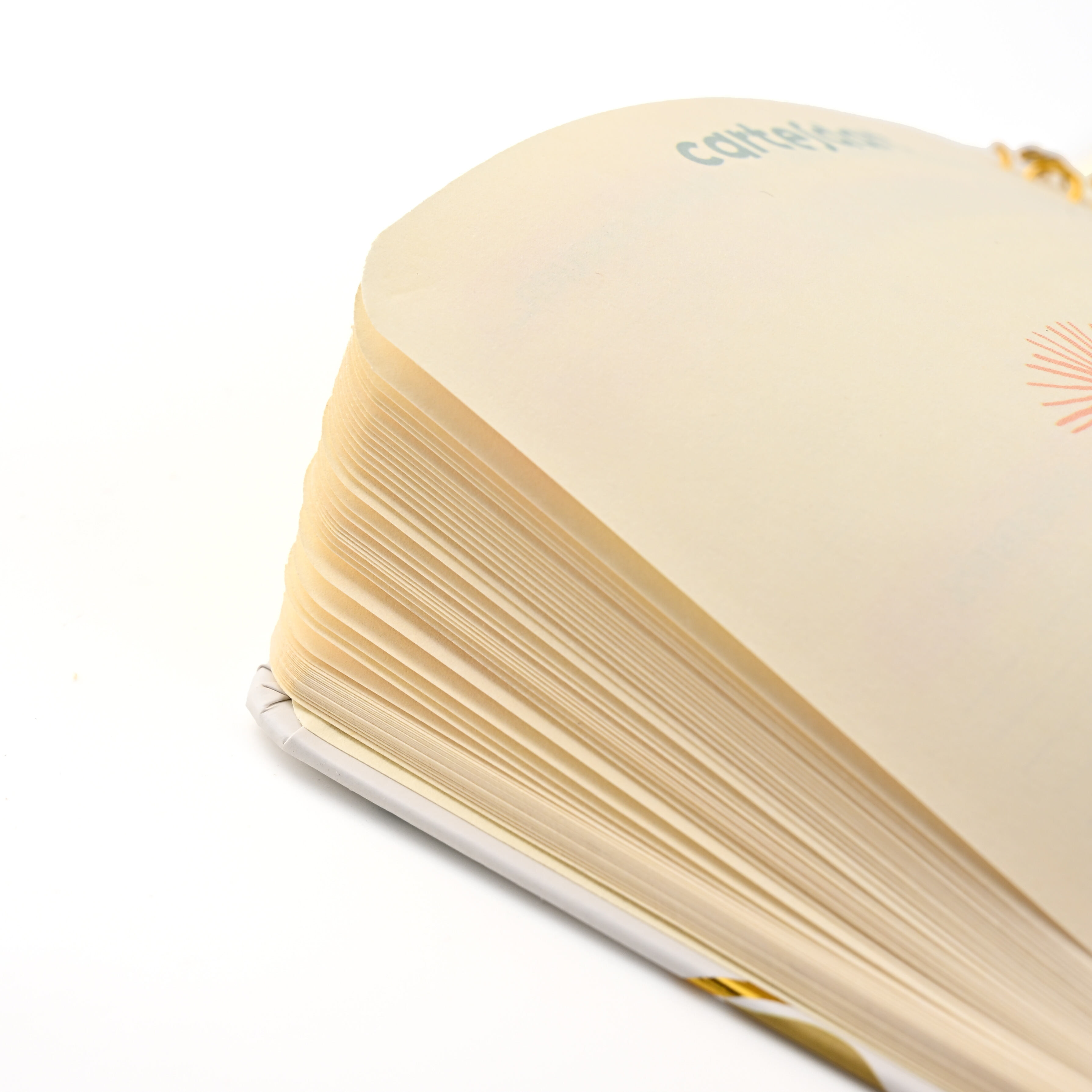 product low moq custom high quality new design a4 a5 thick wire o spiral notebook-11