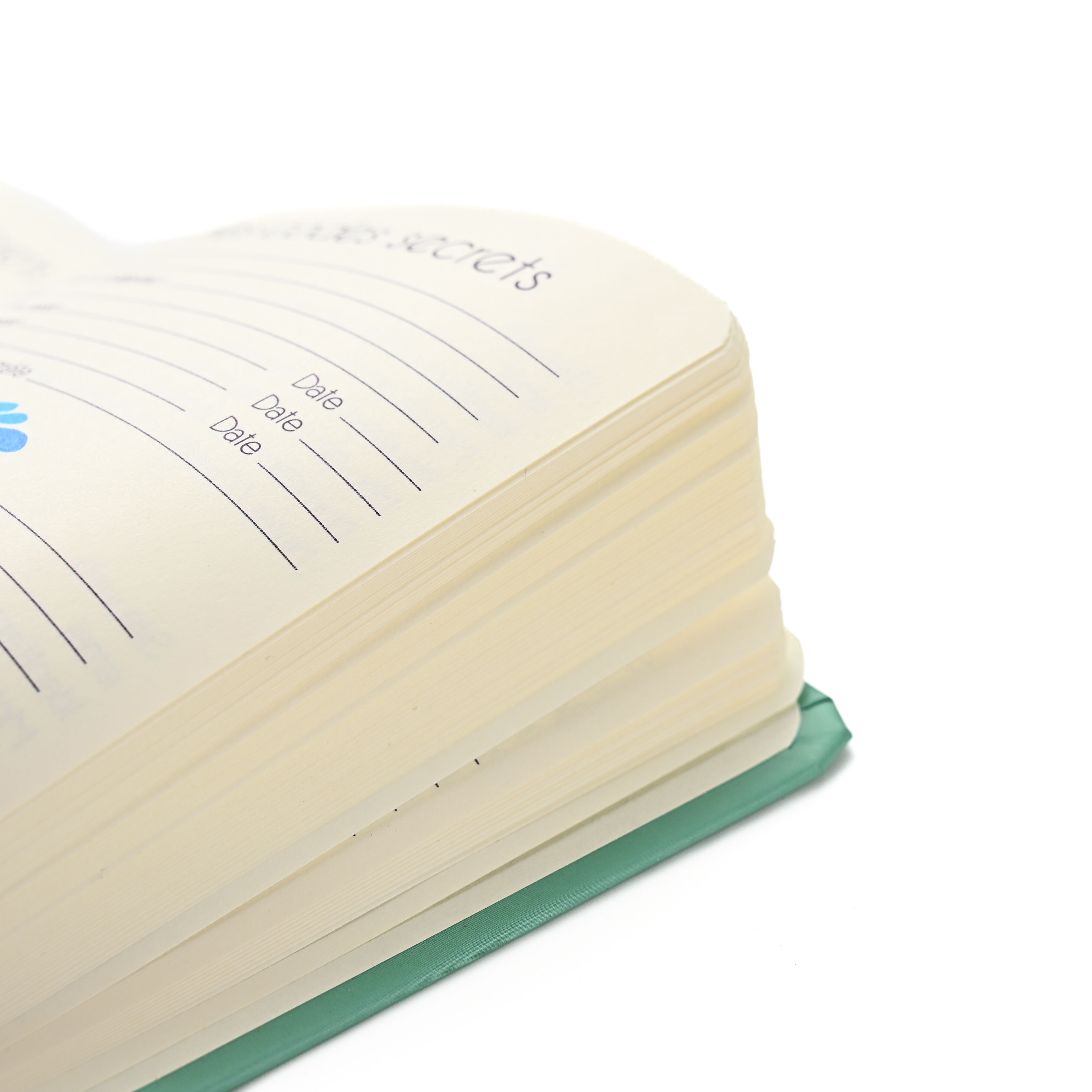 product customized school student exercise book high quality personalised  coil notebooks spiral journal printing-12