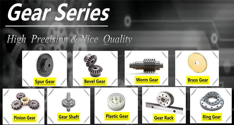 High Quality Precision Parts Worm Gear Parts supplier