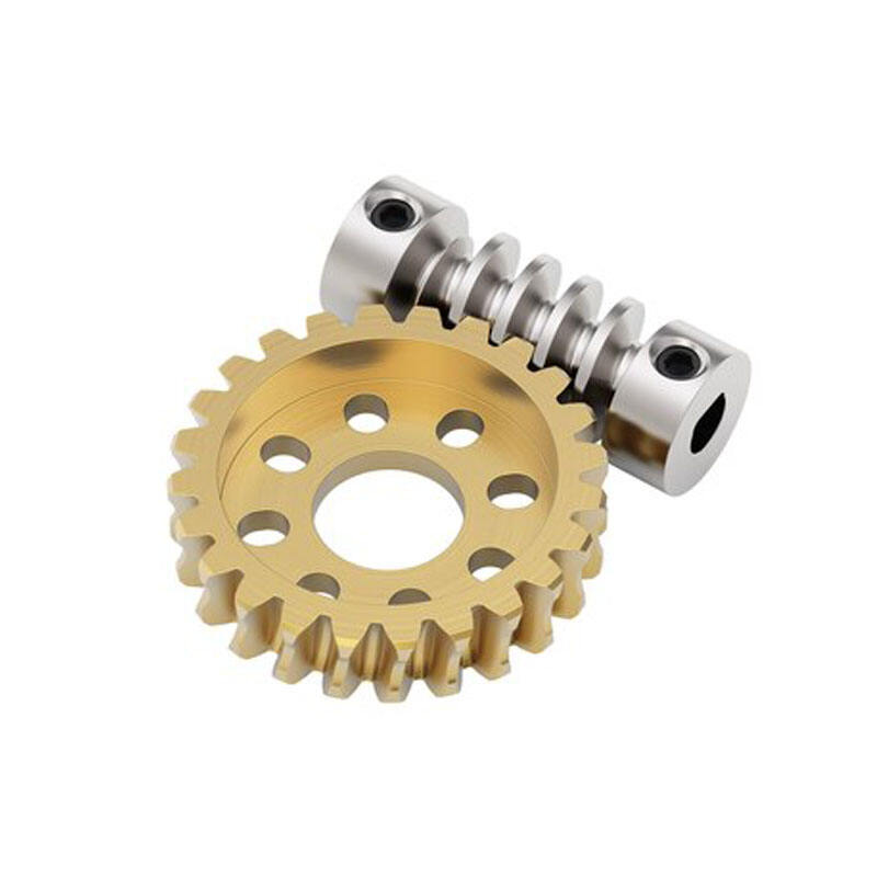 Hot Sale Customized Worm and Pinion Gears Stainless Steel Worm Gear factory