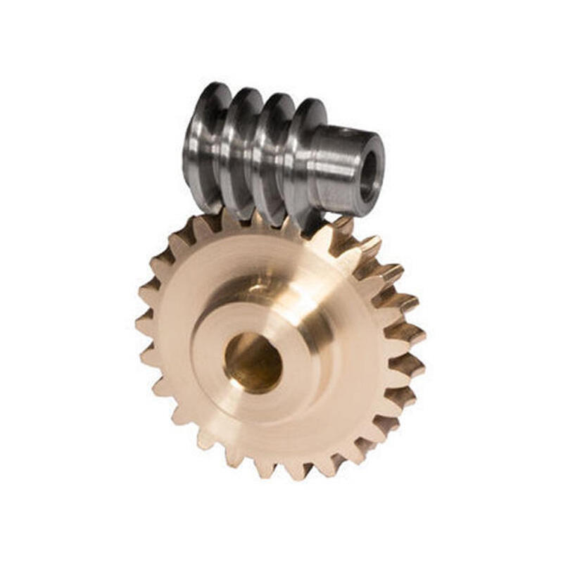 Dakunlun High Quality CNC Brass Steel Worm Gear Pinion Gear details