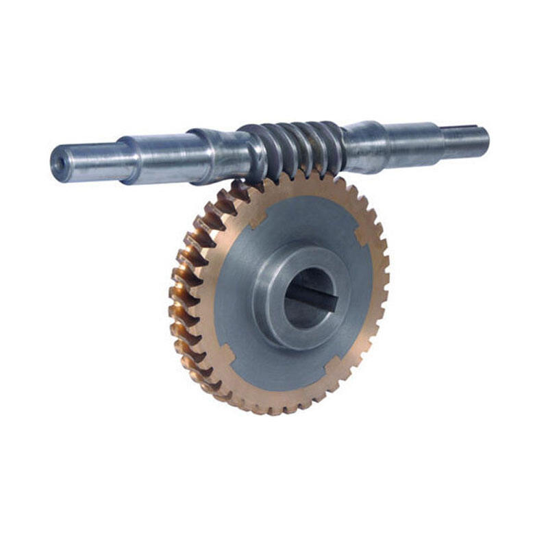 Hot Sale Customized Worm and Pinion Gears Stainless Steel Worm Gear factory