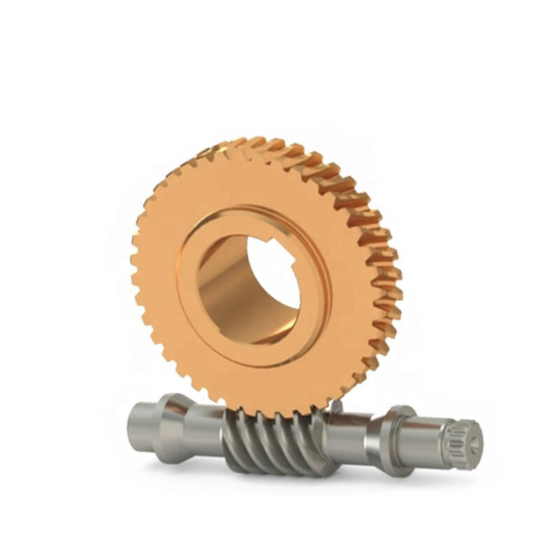 Tùy chỉnh Worms Gears Worm Gear Worm Gears chi tiết