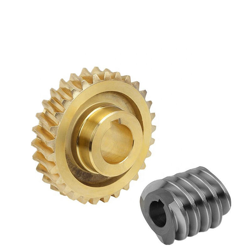 Bánh răng Worm tùy chỉnh Sản xuất bánh răng Worm Gear