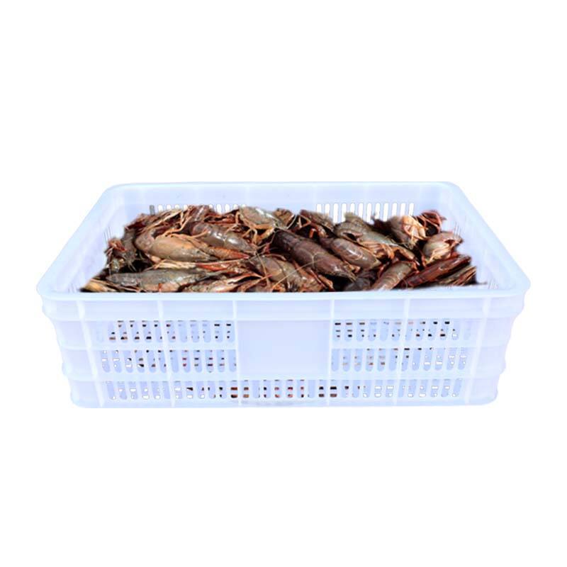 Multi-Use food grade plastic Vented Drying freezing Tray Used For Seafood Aquatic products Frozen preservation
