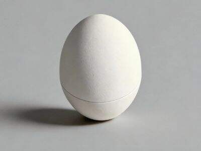 Why food packaging environmentally friendly options attract retailers