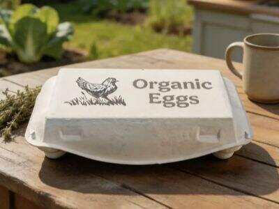 Manufacturing standards for biodegradable food packaging