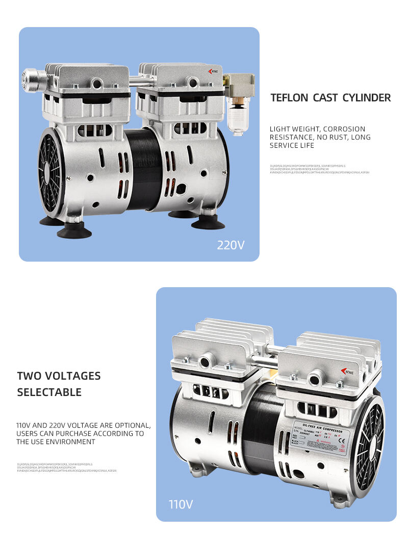 VN-120V 220V 370W 100L/min usine personnaliser 220v pression négative pompage aspiration petite pompe à vide sans huile fournisseur