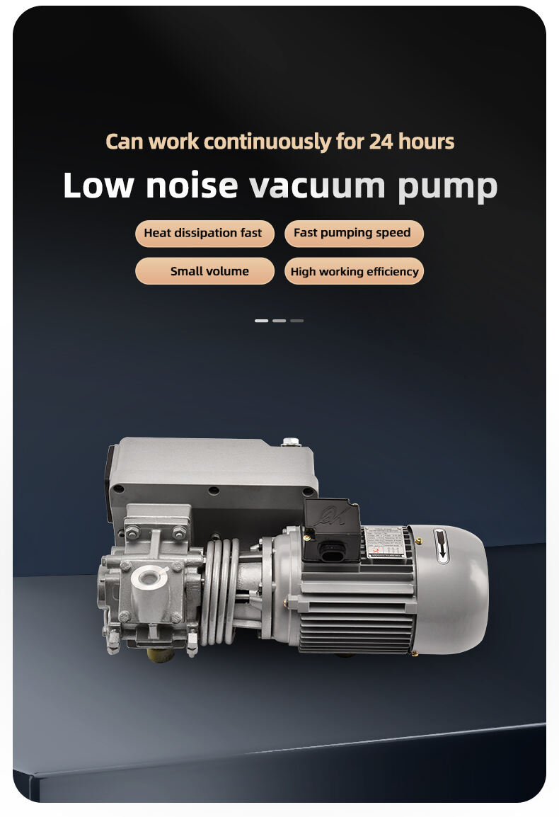 20m3/h Single Stage Sliding Vane Rotary Vacuum Pump supplier