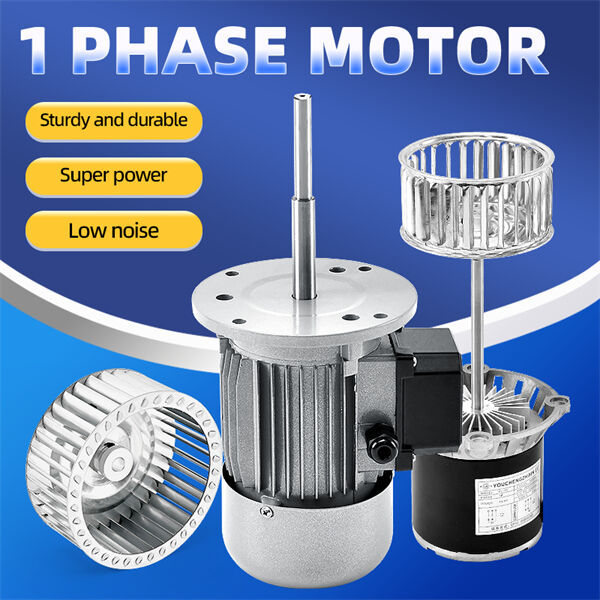 Single-phase Motor Technology က Eco-friendly Needs နဲ့ တွဲဖက်လာခဲ့တယ်