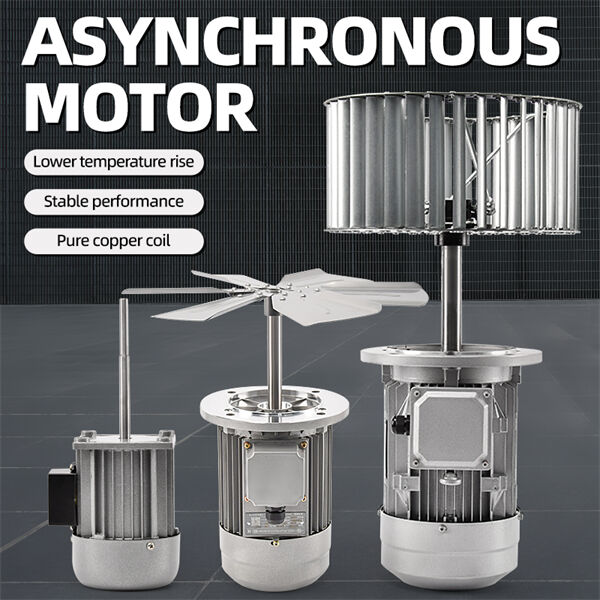 Exercising the Use of Asynchronous Motors in Industry