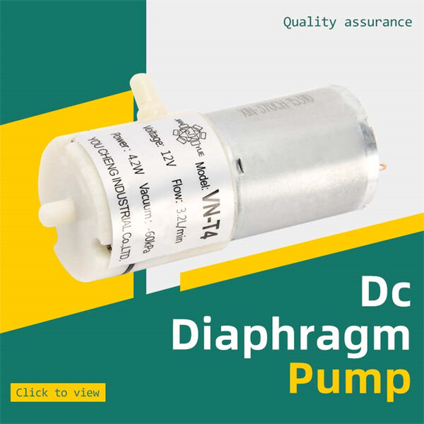 DC Diaphragm Pumps Safety