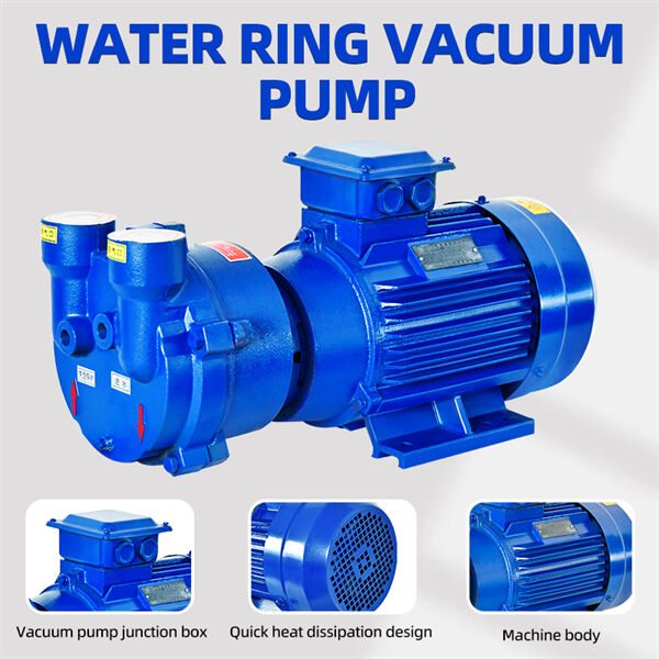 Water Ring Vacuum Pump Ultimate Guide