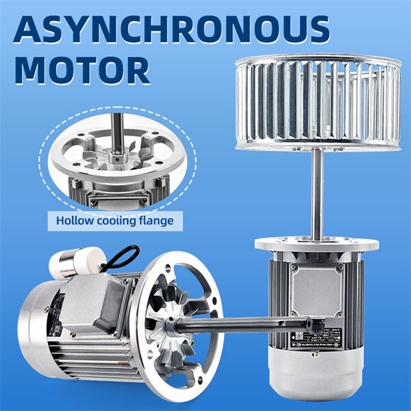 How To Choose the Right Asynchronous Motor For Your Industrial Requirements