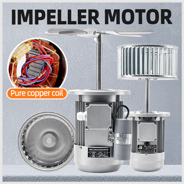 Things to Consider When Selecting an Impeller Pump