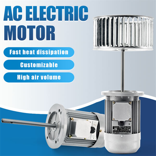 The future of energy-efficient AC electric motors