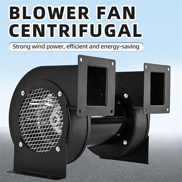 Maximizing Productivity with Superior Air Movemen