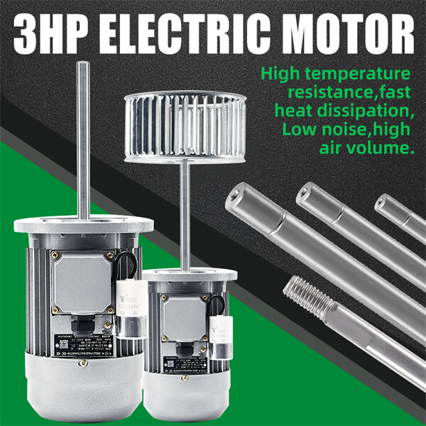 Experts' Verdict...Rating for Electric Motors