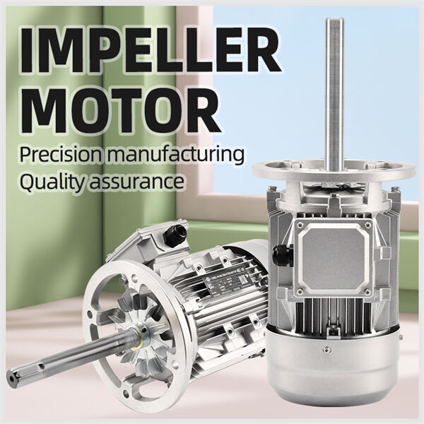 Top 5 Tips For Superior Impeller Motors;