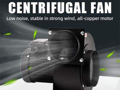 Why Backward-Curved Centrifugal Fans Are Ideal for Clean Air Systems