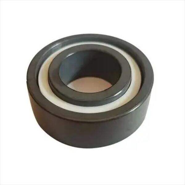 Use of Ceramic Bearings: