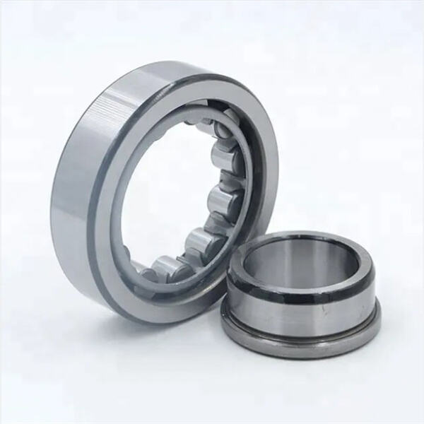 Safety of Roller Bearings