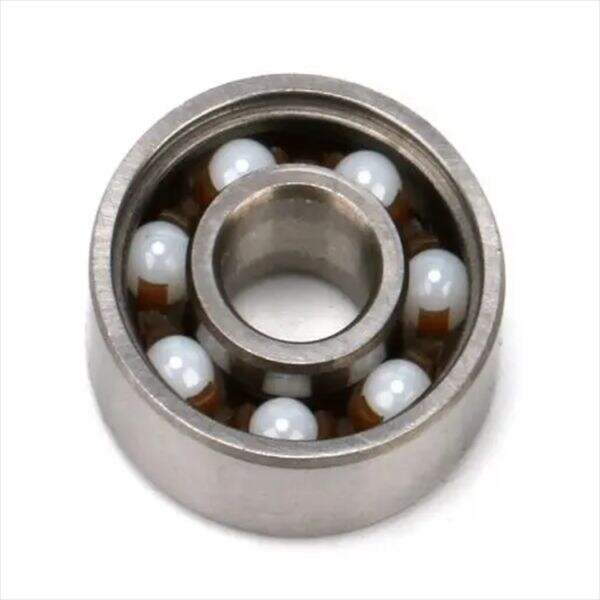 Protection and Use of Hybrid Ceramic Bearings