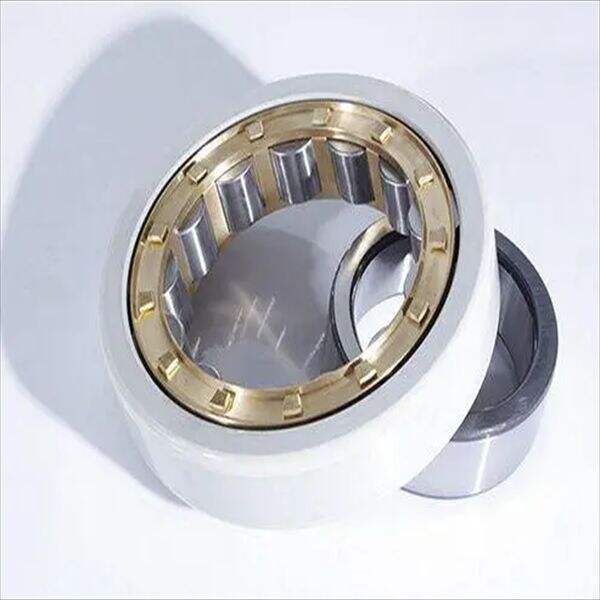 Safety and Use of Insulated Bearings