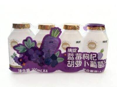 Building a Competitive Fruit Juice Product Portfolio