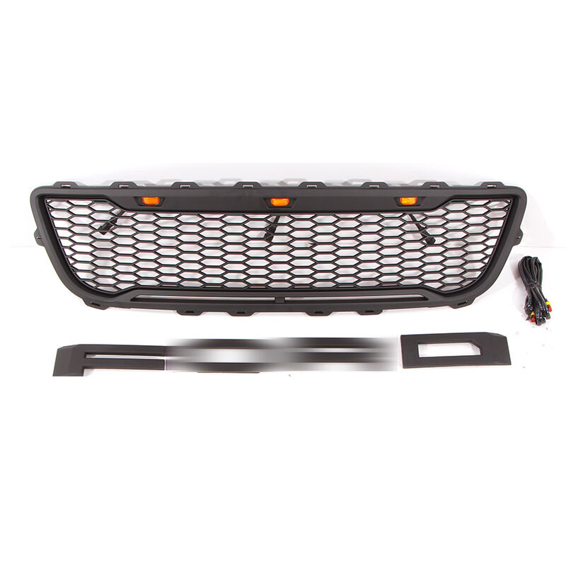 Growth of this 2003 Ford F150 Grill